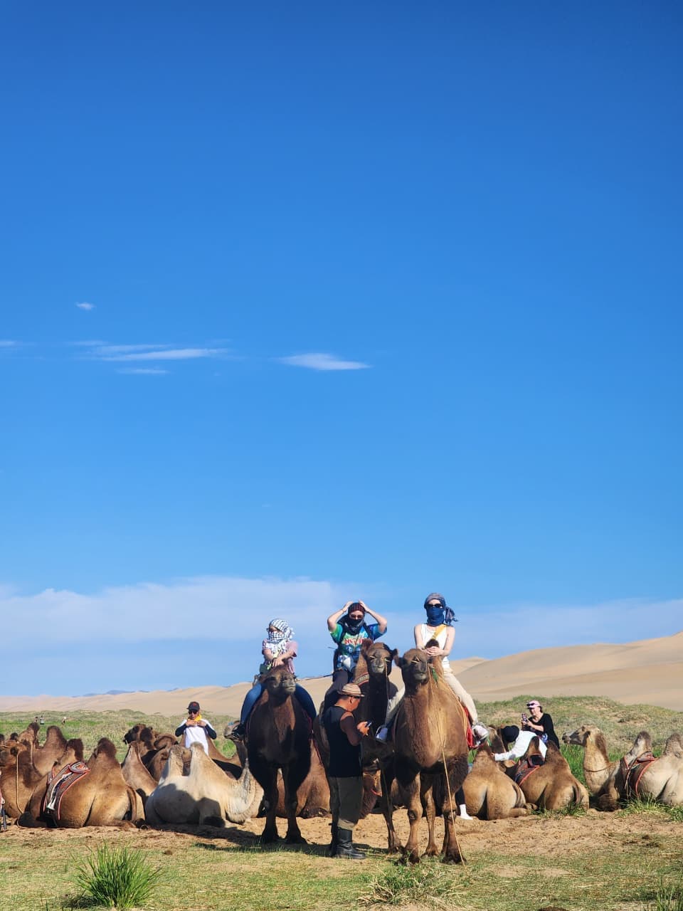 Camel caravan crossing the Khongor sand dunes